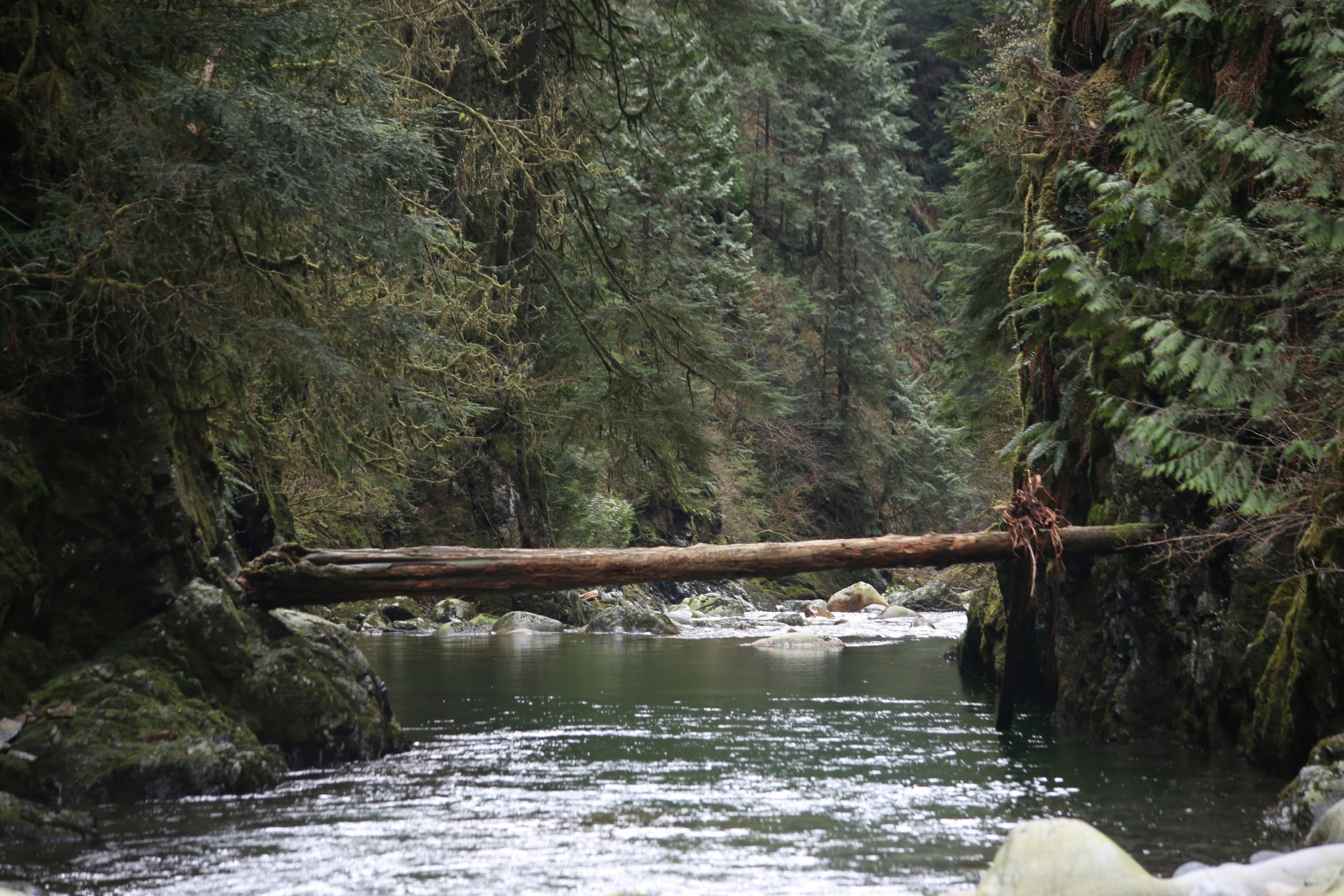 Nineteen Years in a Cold Creek