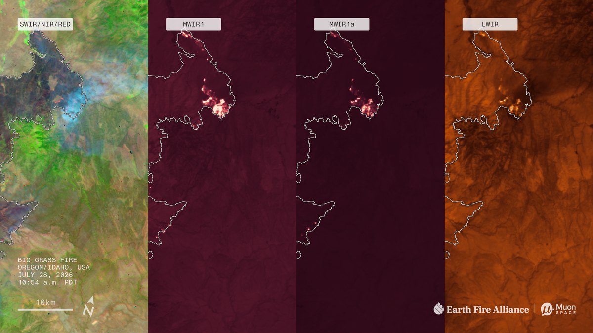 Four side-by-side FireSat views of the Big Grass Fire on the Oregon-Idaho border, each with the white fire perimeter outlined. The first shows a false-color landscape with a burn scar and a smoke plume. The two mid-wave infrared panels show bright active fire clusters along the eastern edge of the perimeter. The long-wave infrared panel shows the same hotspots in orange against warm terrain.